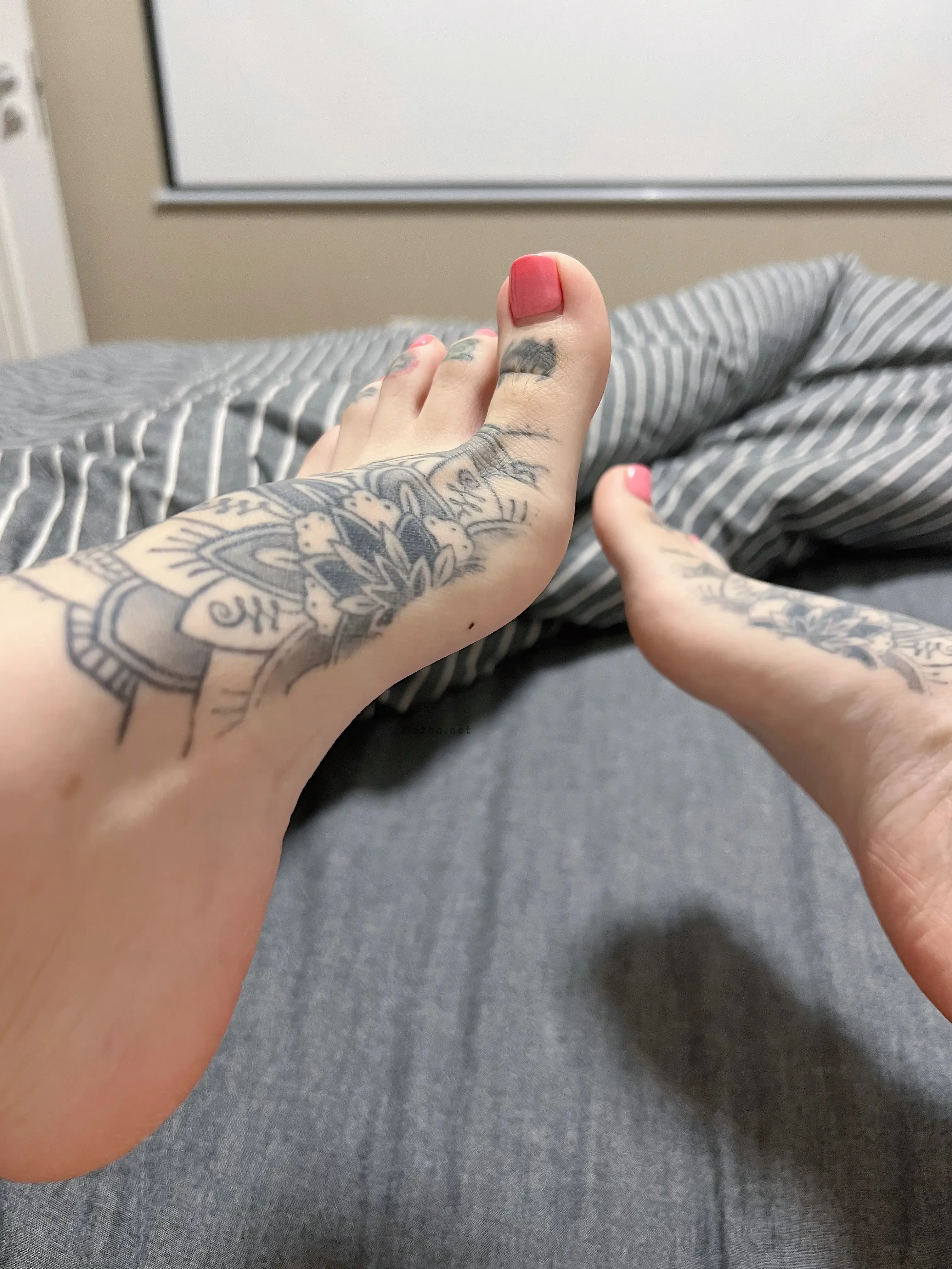 卡通百科老王 – 足控玉足【81P】